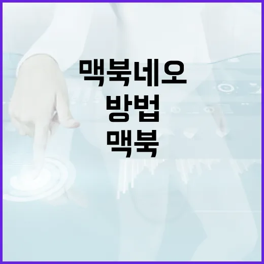맥북 네오를 완벽히 활용하는 방법 - 요약
