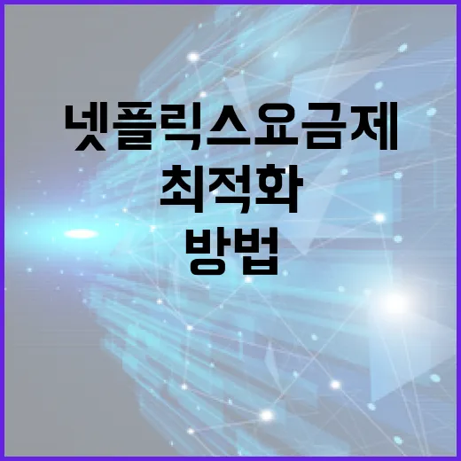 넷플릭스 요금제를 최적화하는 방법 - 요약