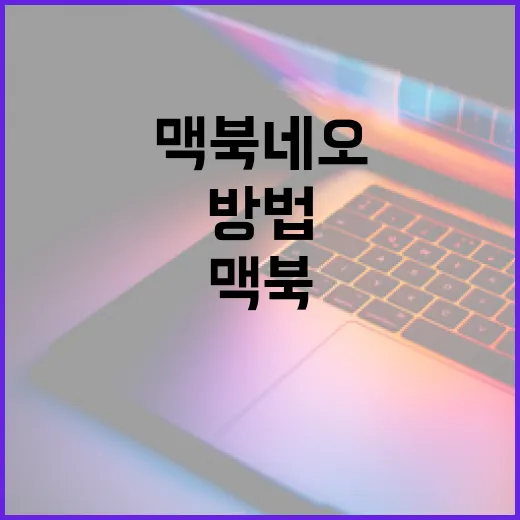 맥북 네오를 최대한 활용하는 방법 - 요약