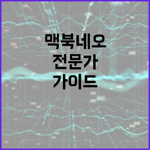 맥북네오 활용하는 방법: 전문가 가이드 - 요약