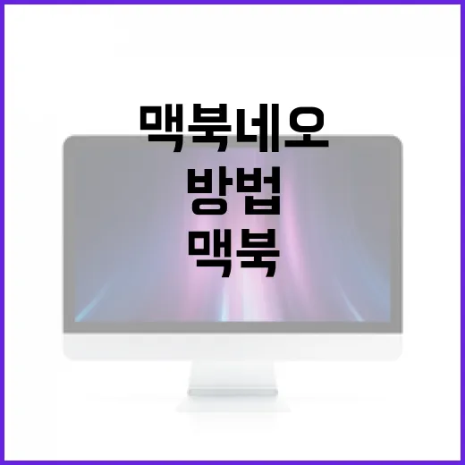 맥북 네오를 효율적으로 사용하는 방법 - 요약