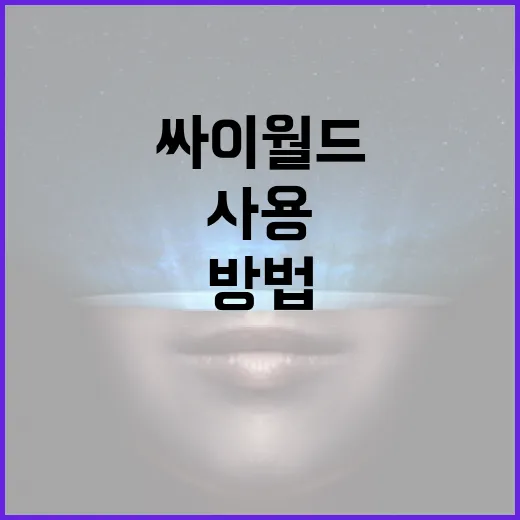 싸이월드를 효과적으로 사용하는 방법 - 요약