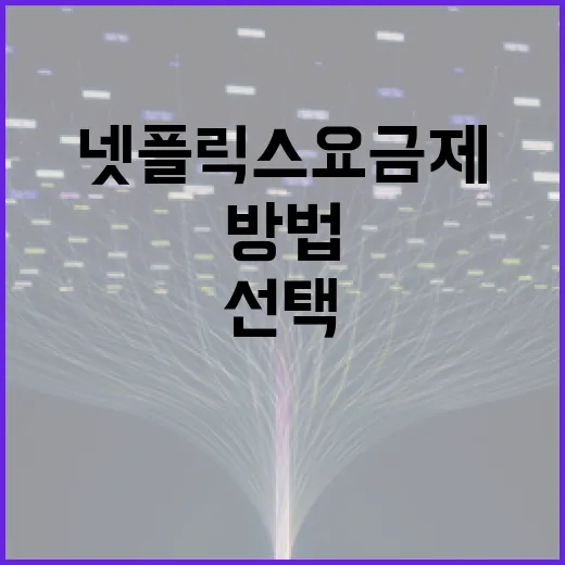 넷플릭스 요금제를 선택하는 방법 - 요약