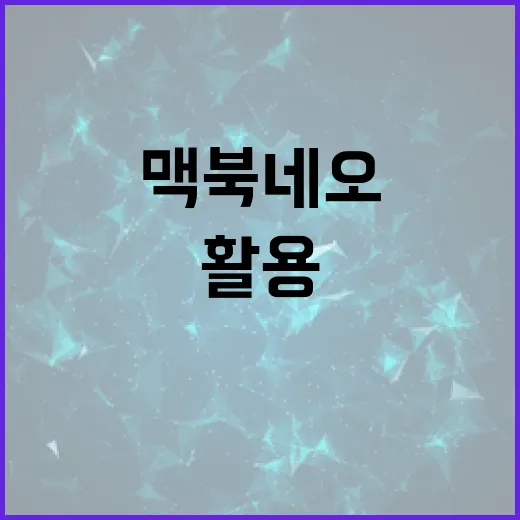 맥북네오 활용 방법: 전문가를 위한 최고의 팁 - 요약