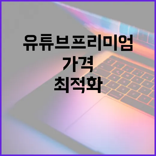 유튜브 프리미엄 가격을 최적화하여 사용하는 방법 - 요약