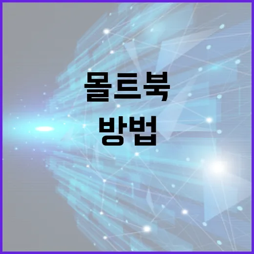 몰트북을 제대로 활용하는 방법 - 요약