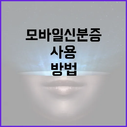 모바일 신분증을 사용하는 방법과 그 이점 - 요약