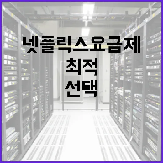 최적의 넷플릭스 요금제를 선택하는 방법 - 요약