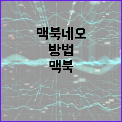 맥북 네오를 최적 활용하는 방법 - 요약