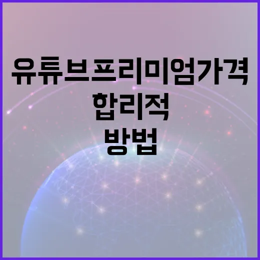 유튜브 프리미엄 가격을 이해하고 합리적으로 사용하는 방법 - 요약