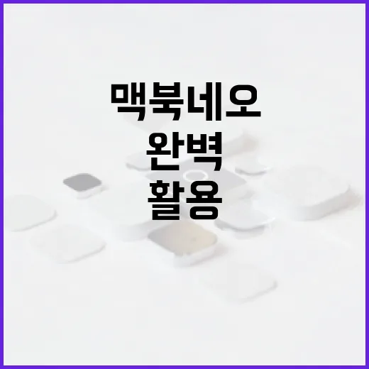 맥북 네오를 완벽하게 활용하는 방법 - 요약