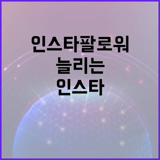 인스타팔로워를 효과적으로 늘리는 방법 - 요약