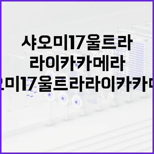 샤오미 17 울트라 라이카 카메라를 활용하는 방법 - 요약