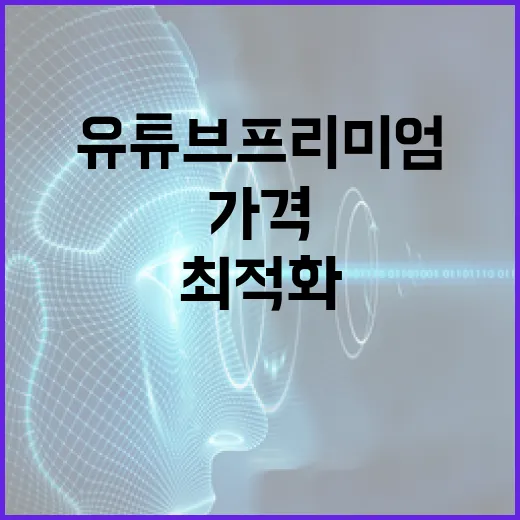 유튜브 프리미엄 가격을 최적화하는 방법 - 요약