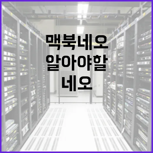 맥북 네오에 대해 알아야 할 모든 것 - 요약