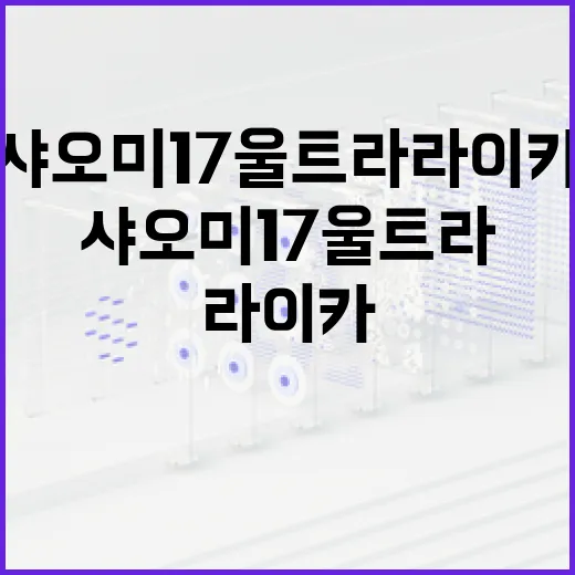 샤오미 17 울트라 라이카로 사진을 더욱 예술적으로 찍는 방법 - 요약