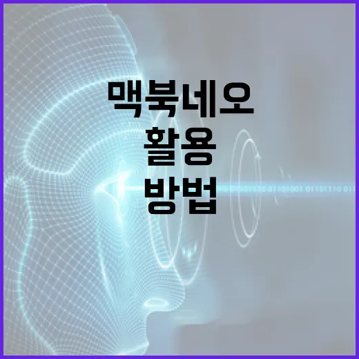 맥북 네오를 효과적으로 활용하는 방법 - 요약