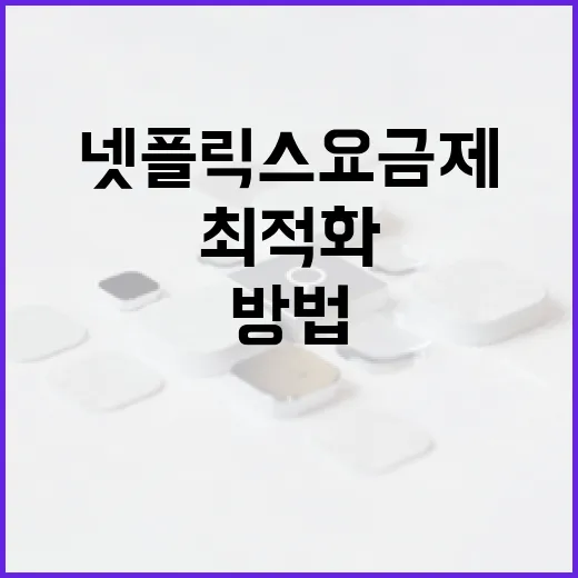 넷플릭스 요금제를 최적화하는 방법 - 요약