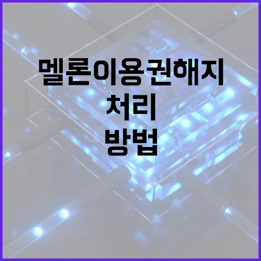 멜론 이용권 해지하는 방법: 간단하고 빠르게 처리하기 - 요약