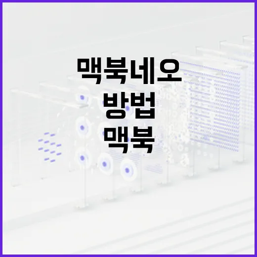 맥북 네오를 최대한 활용하는 방법 - 요약