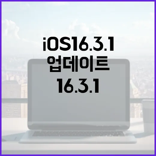 iOS 16.3.1(a) 업데이트 활용 방법 - 요약