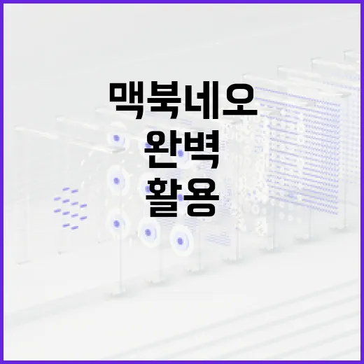 맥북 네오를 완벽하게 활용하는 방법 - 요약