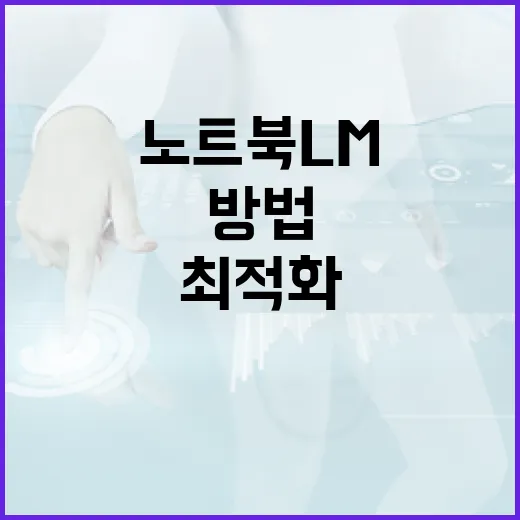 노트북 LM을 최적화하는 방법 - 요약