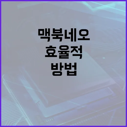 맥북 네오를 효율적으로 사용하는 방법 - 요약