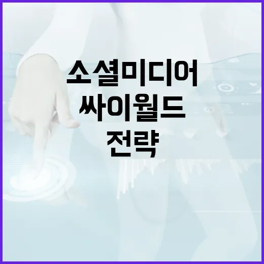 싸이월드를 활용하여 소셜 미디어 전략을 수립하는 방법 - 요약