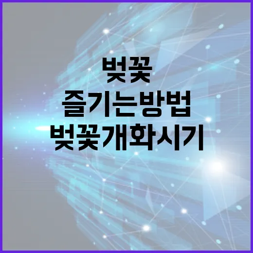 벚꽃 개화시기를 이해하고 즐기는 방법 - 요약