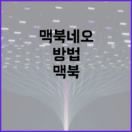 맥북 네오를 최대한 활용하는 방법 - 요약