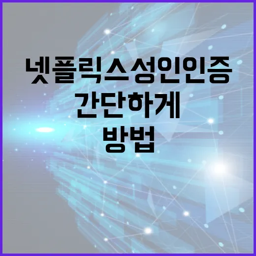 넷플릭스 성인인증 절차를 간단하게 수행하는 방법 - 요약
