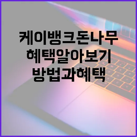 케이뱅크 돈나무 이용 방법과 혜택 알아보기 - 요약