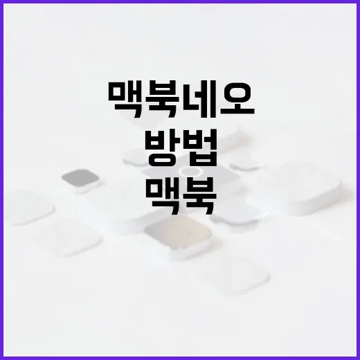 맥북 네오를 최대한 활용하는 방법 - 요약