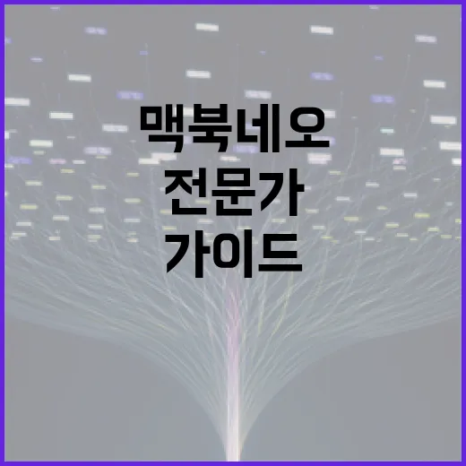 맥북 네오 활용 방법: 전문가를 위한 가이드 - 요약