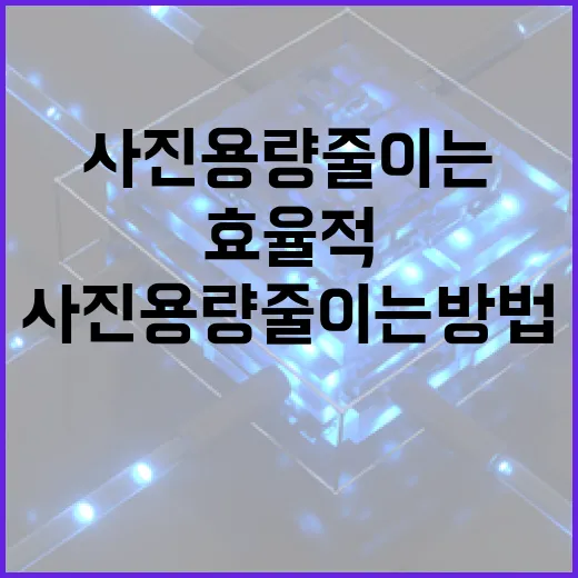 효율적으로 사진 용량 줄이는 방법 - 요약