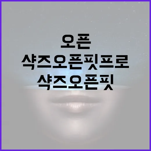 최고의 샥즈 오픈핏 프로를 선택하는 방법 - 요약