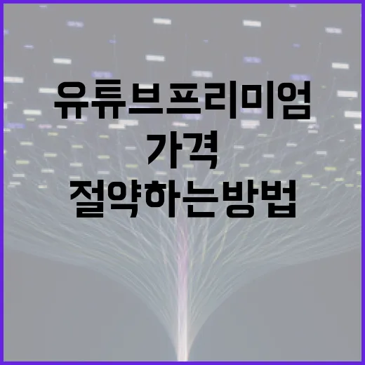 유튜브 프리미엄 가격을 절약하는 방법 - 요약