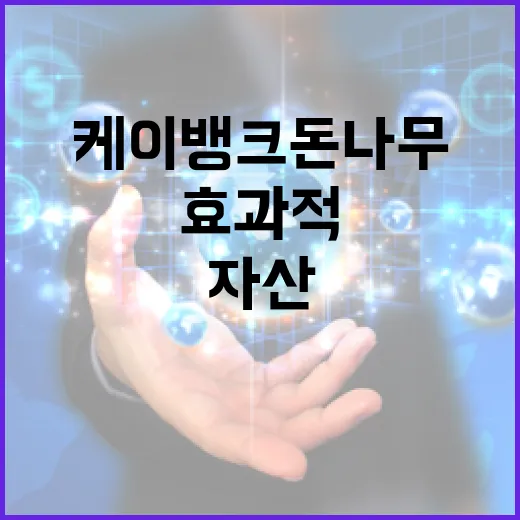 케이뱅크 돈나무로 자산을 효과적으로 관리하는 방법 - 요약