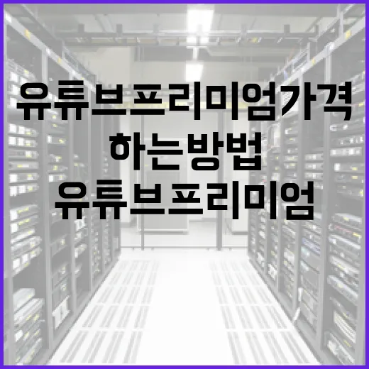 유튜브 프리미엄 가격을 이해하고 최적의 선택을 하는 방법 - 요약