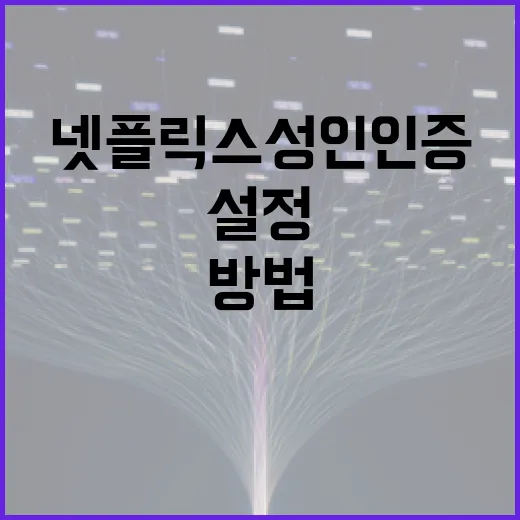넷플릭스 성인 인증…