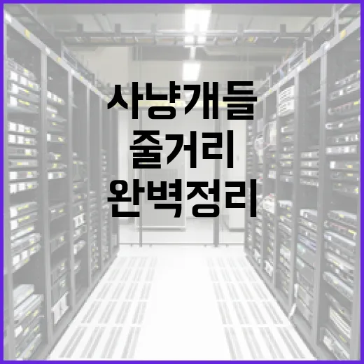 사냥개들1 줄거리 완벽 정리 방법 - 요약