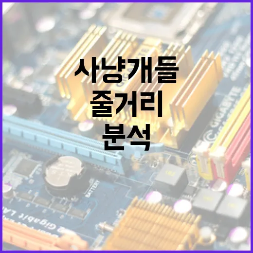 사냥개들1 줄거리: 주요 내용과 분석 방법 - 요약