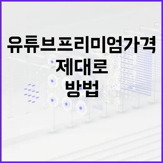 유튜브 프리미엄 가격을 제대로 이해하는 방법 - 요약