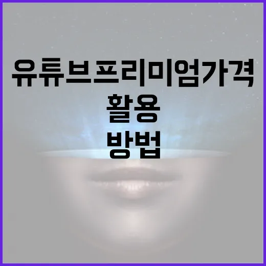 유튜브 프리미엄 가격을 이해하고 활용하는 방법