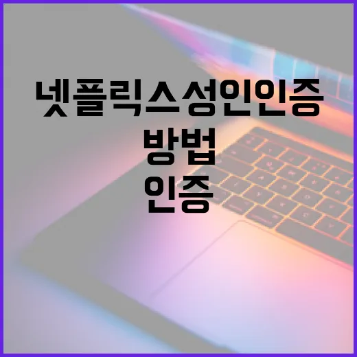 넷플릭스 성인인증 설정하는 방법: 단계별 가이드 - 요약