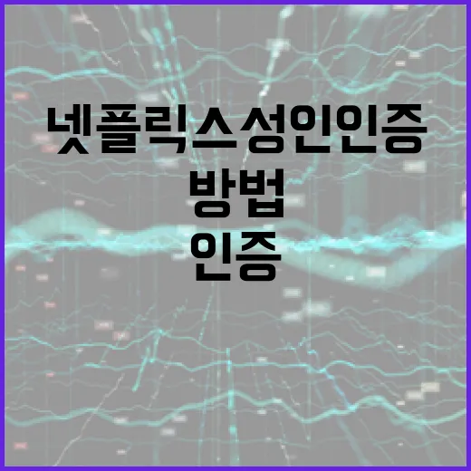 넷플릭스 성인인증을 완료하는 방법 - 요약