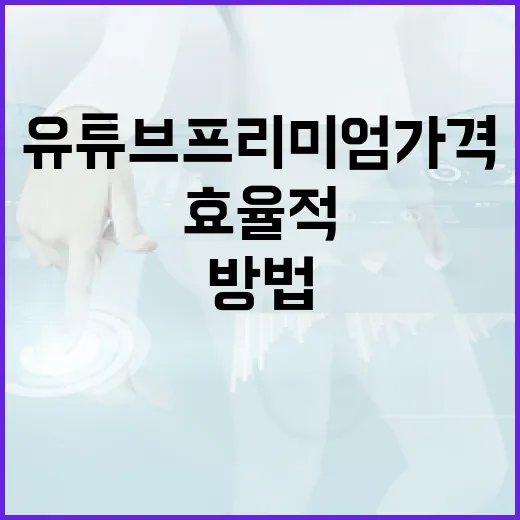 유튜브 프리미엄 가격을 효율적으로 관리하는 방법 - 요약