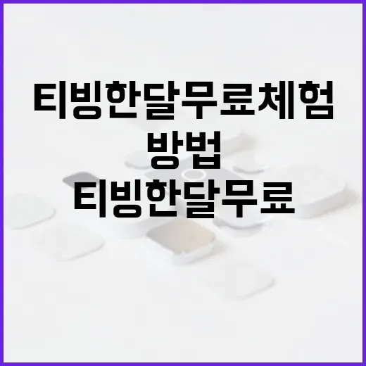 티빙 한달무료 체험하는 방법 - 요약