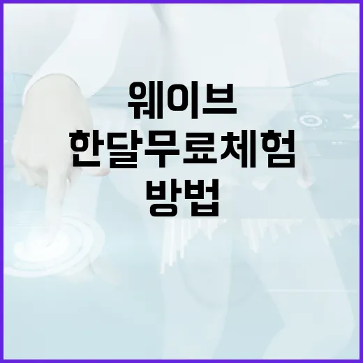 웨이브 한달 무료 체험을 활용하는 방법 - 요약